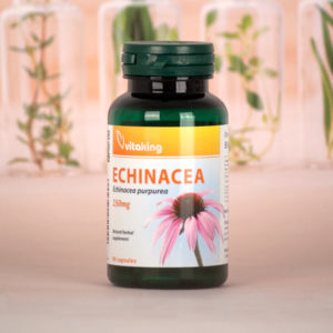 Echinacea-Bíbor Kasvirág 90db vitaking